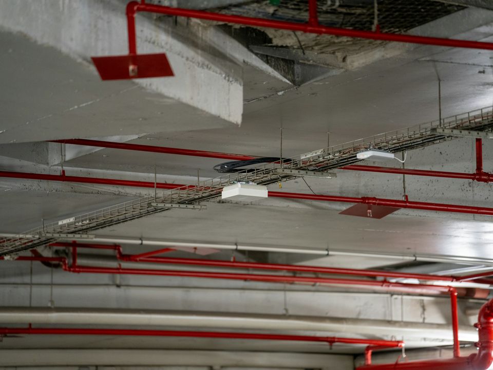 Cable trays and conduit reticulated across a plant-room ceiling